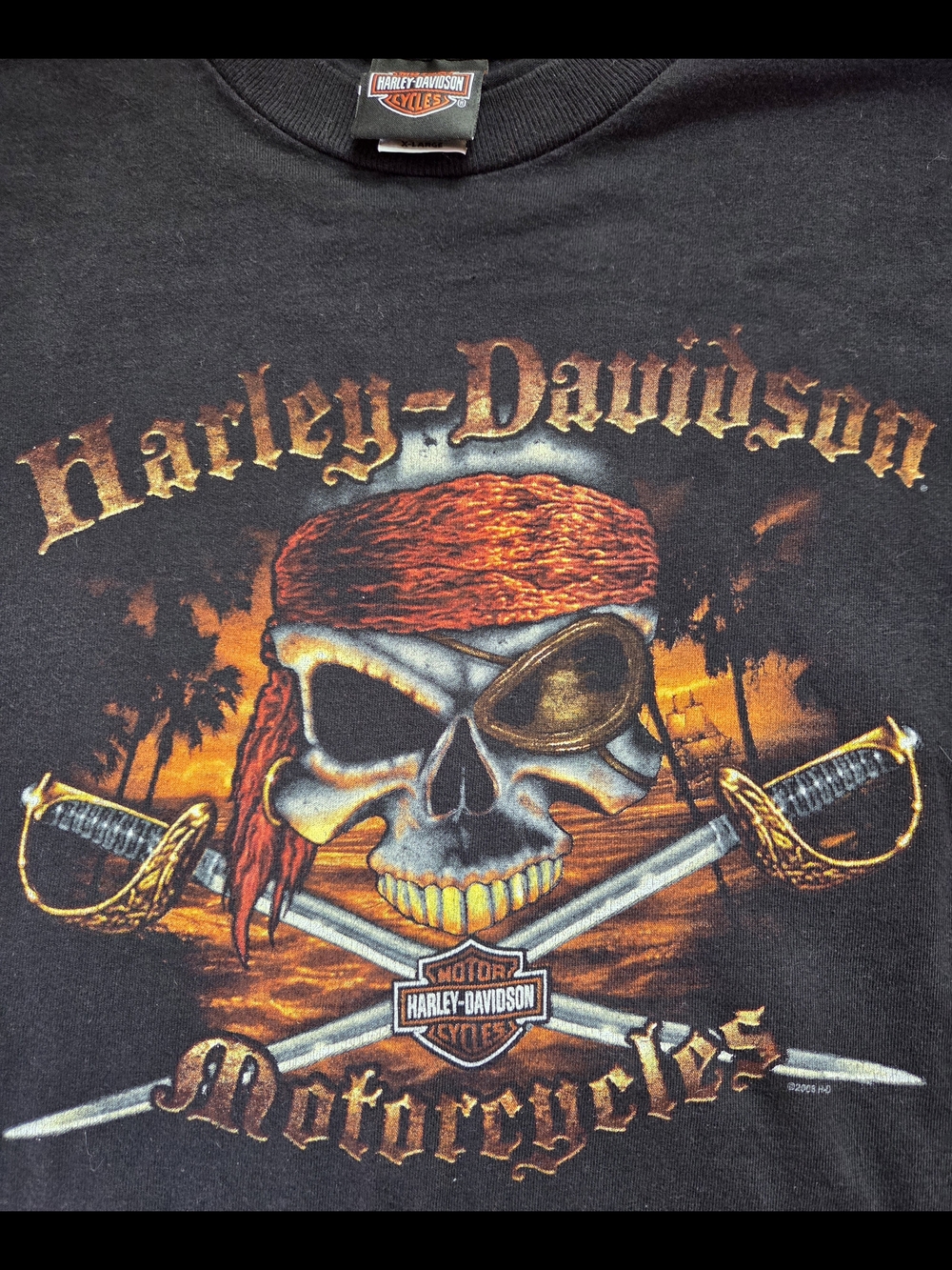 🍍Harley-Davidson Black Skull & Crossed Sabers
